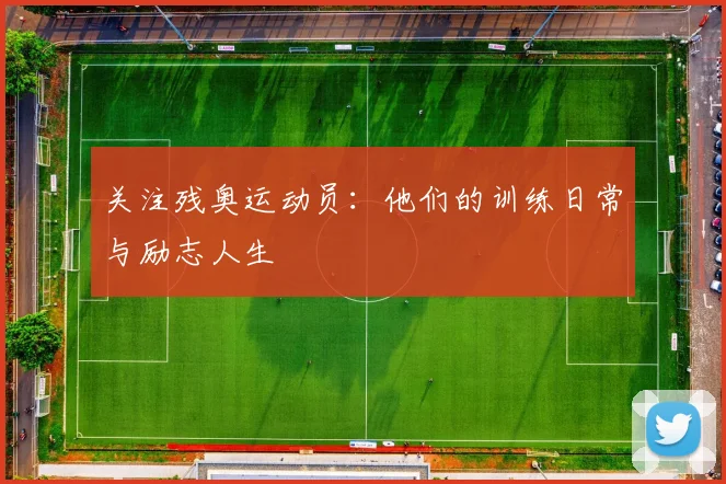 关注残奥运动员：他们的训练日常与励志人生