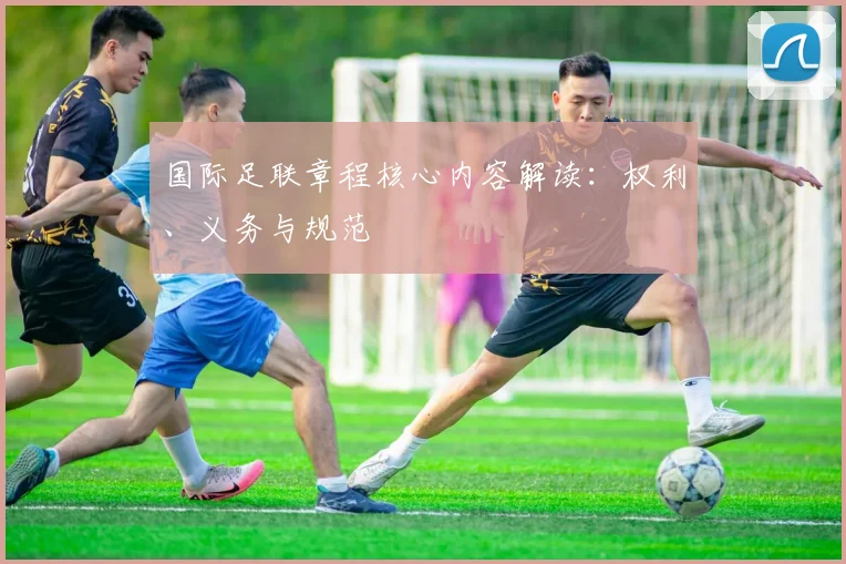 国际足联章程核心内容解读：权利、义务与规范